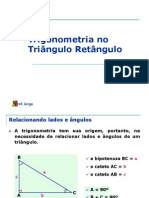 1 ANO - Trigonometria no Triângulo Retângulo - 2008