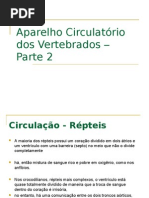 Circulação Vertebrados - Parte 2