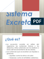 Sistema Excretor Original