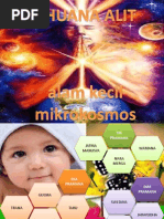 Alam Kecil Mikrokosmos