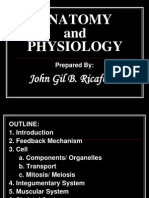 Anatomy and Physiology: John Gil B. Ricafort, RN