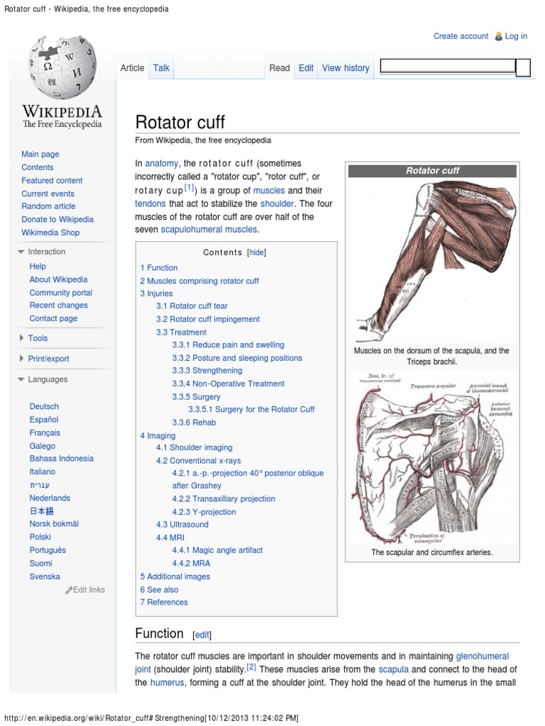 Rotator Cuff PDF Shoulder Joints