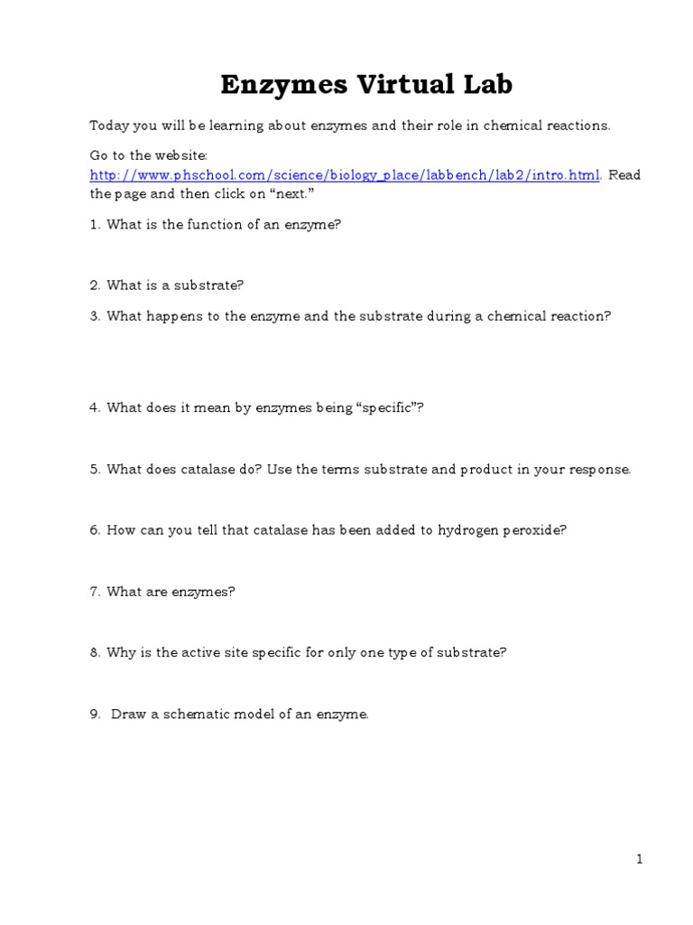 Enzymes Virtual Lab PDF Enzyme Chemistry