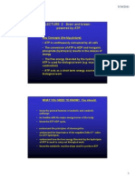 Biochemistry Lect 2 2011 Colour 2 Slides Per Page