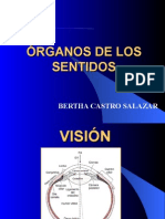 Organos de los Sentidos