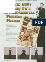 8 3 Fighting Shapes of Pak Mei