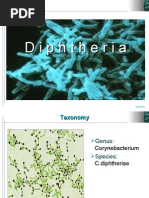 Download Mircrobiology Lecture  -16 Diptheria by Chris Queiklin SN19590945 doc pdf