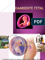 El Microambiente Fetal