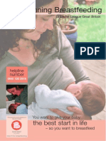 Beginning Breastfeeding Leaflet