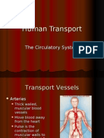 Human Transport