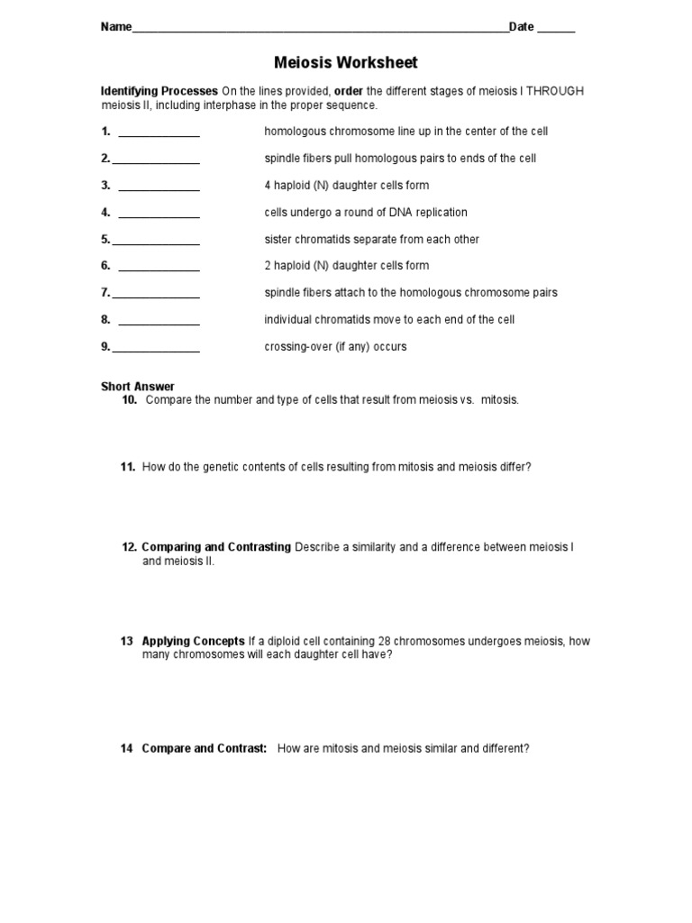 Chromosome Number Worksheet Answers - Promotiontablecovers For Meiosis Worksheet Vocabulary Answers