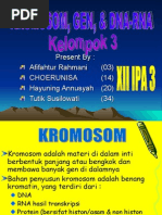 Download Presentasi Gen Kromosom by JEMBUD SN19598670 doc pdf