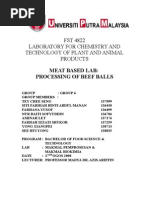 Download 11436841 LAB 8 Processing of Beef Balls by hadiminshawi2029 SN19600490 doc pdf