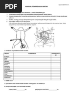 WORKSHEET 7.1 the Respiratory Structures and Breathing 