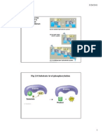 Biochemistry Lect 3 2011 Colour 2 Slides Per Page