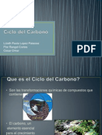 Ciclo Del Carbono