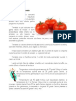 Cultura de Tomate