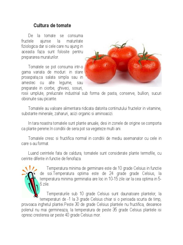 Cultura De Tomate
