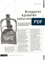 Kroppens Kjemiske Laboratorium: Leveren (1995)