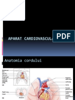 Anatomia si fiziologia aparatului cardiovascular