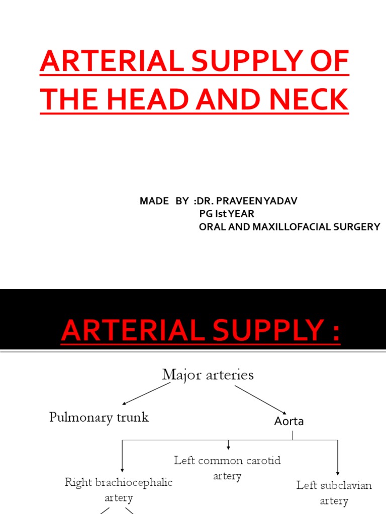 Arterial Anatomy of Head and Neck | PDF | Common Carotid Artery | Neck