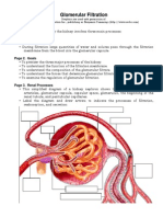 Glomerular Filtration