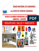 Seguridad Salud y Ambiente Capitulo I Generalidades (Modo de Compatibilidad)