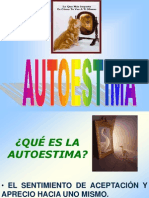 Auto Estim A