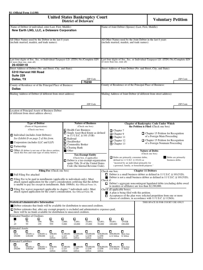 new-earth-lng-chapter-7-bankruptcy
