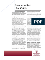 Artificial Insemination Programs For Cattle