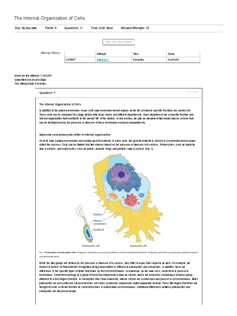 Internal Organization of Cells Explained | PDF | Endoplasmic Reticulum ...