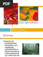 Power Point Nr. 2 - Biomas