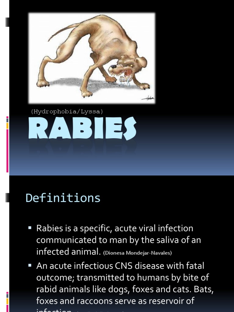 Rabies Ppt | Rabies | Infection