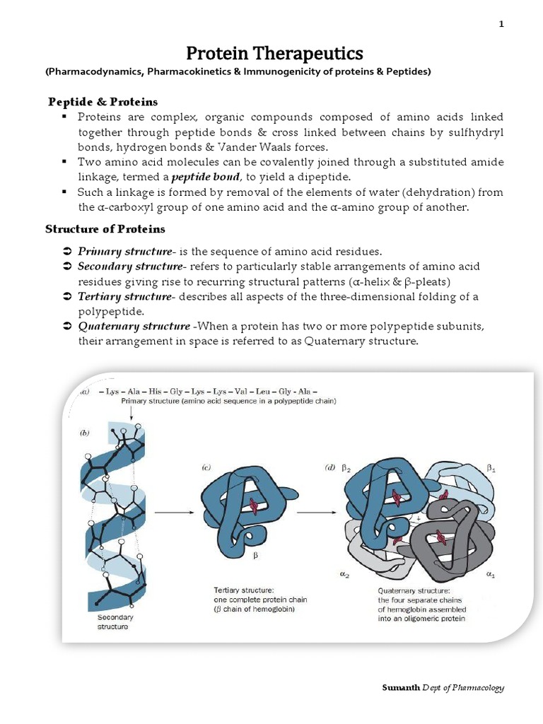 Protein Therapeutics Biomolecular Structure Proteins