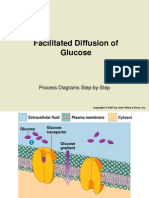 Facilitated Diffusion of Glucose: Process Diagrams Step-by-Step