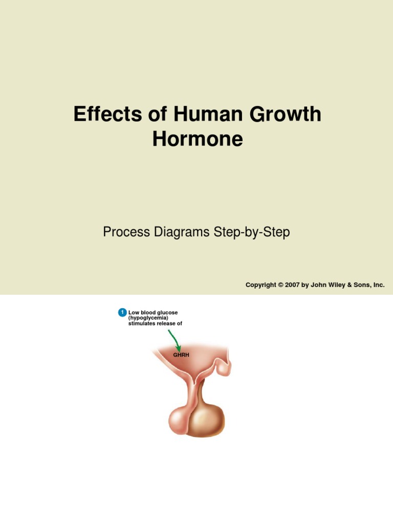 Effects of Human Growth Hormone: Process Diagrams Step-by-Step | PDF ...