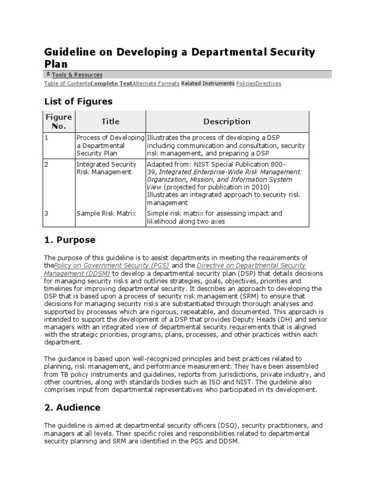 Departmental Security Plan Development Guide | PDF | Risk | Risk Management