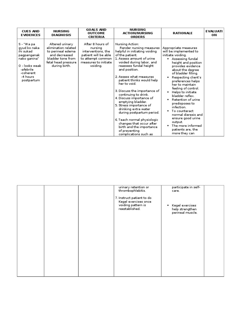 Nursing Care Plan Altered Urinary Elimination Related To Perineal Edema And Decreased Bladder Tone From Fetal Head Pressure During Birth