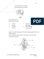 Rajah 1 Menunjukkan Sebahagian Sistem Saraf Manusia.: Diagram 1