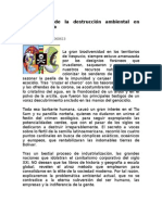 Impacto de la destruccción ambiental en Latinoamérica