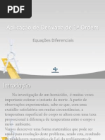 Aplicação de Derivada de 1ª Ordem