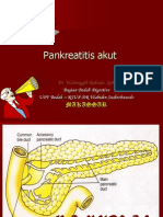 Pankreatitis akut