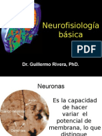 Neurofisiología básica