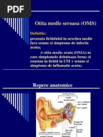 Otita Medie Seroasa - Tratament