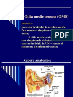 Otita Medie Seroasa - Tratament
