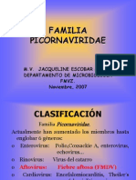 Familia Picornaviridae: clasificación y géneros