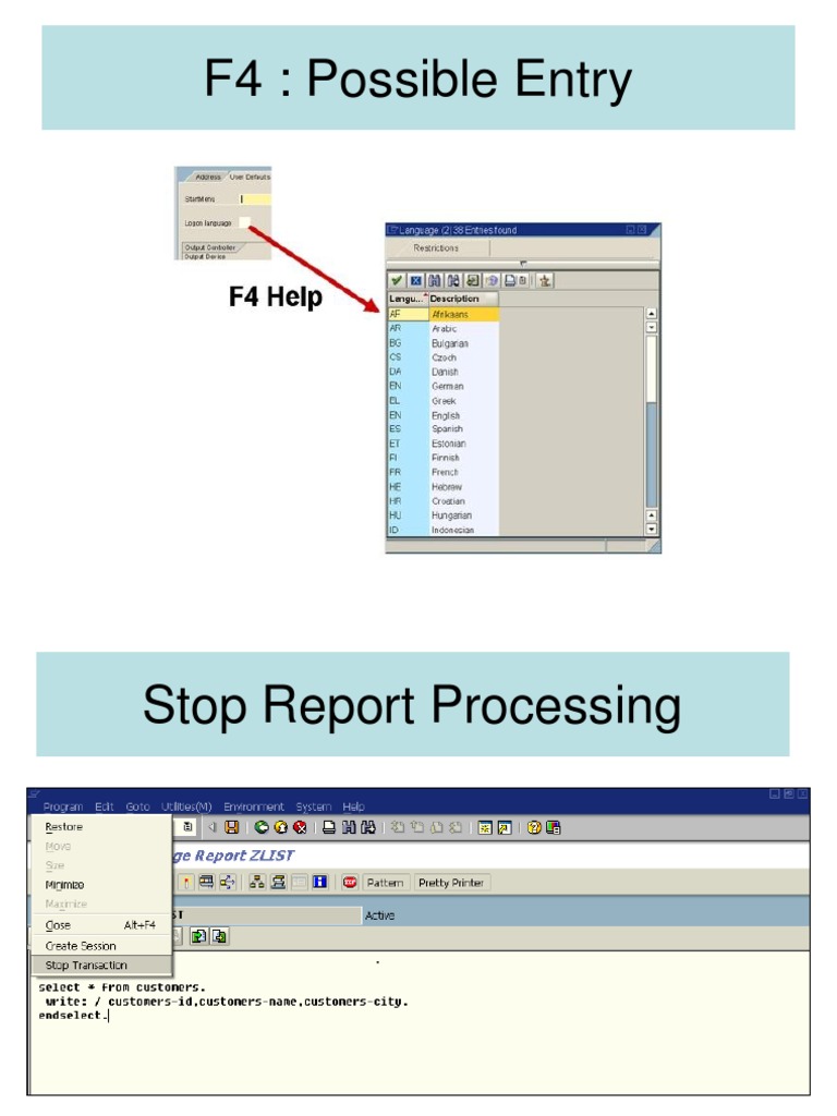 SAP Interface Customization Guide | PDF | Computers