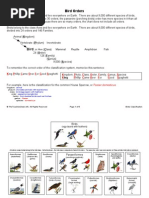 Download Bird Order Chart by TheTeachersDeskinfo SN19663329 doc pdf