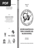 As Maiores Arvores Da Terra