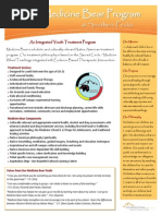 Medicine Bear Program Flyer